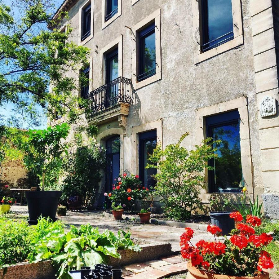 La Villa Du Chai Lézignan-Corbières Dış mekan fotoğraf